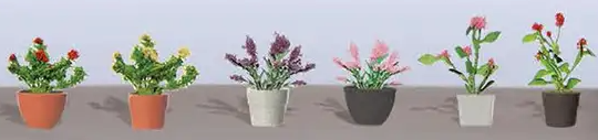 Potted flowers