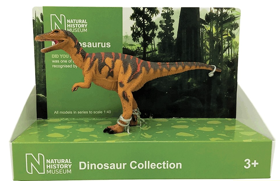 BACTW2910 Megalosaurus