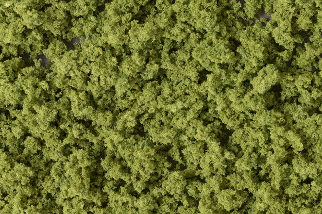 tree foliage for medium to large trees and low-to-medium ground covers