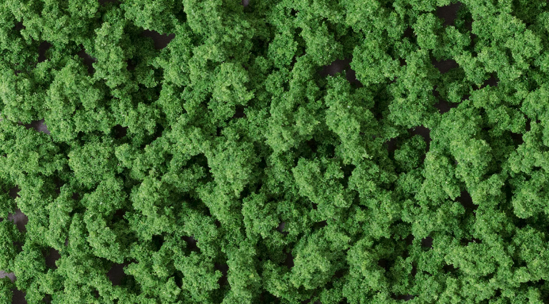 model bushes
