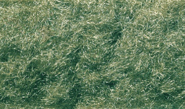 green static grass flock