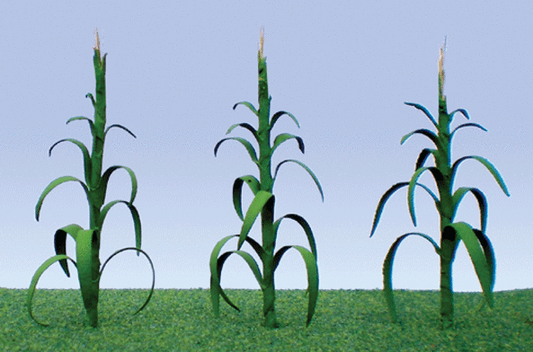 corn stocks for models