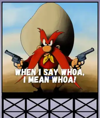 Animated character with a large cowboy hat holding guns, with text 'When I say whoa, I mean whoa!'