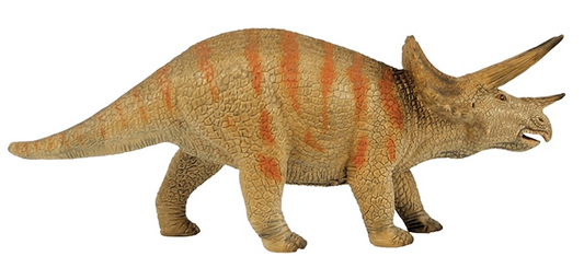 Triceratops 