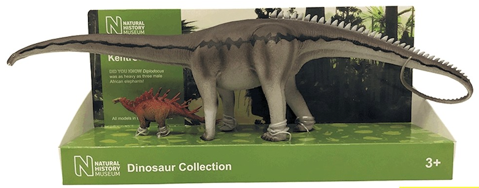 set of two Diplodocus and Kentrosauru