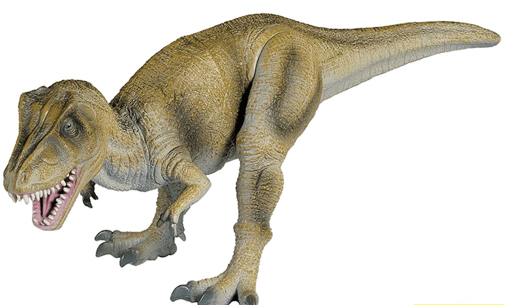 A 16-inch scale model of a Tyrannosaurus rex with moveable joints, depicted in a light beige color.