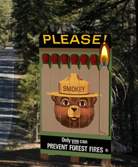 Smokey bear animated light sign