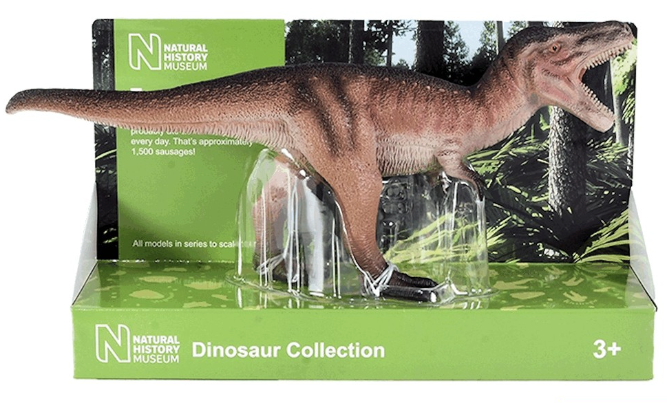 BACTW29100 Tyrannosaurus 1:40 scale model London Natural History Museum