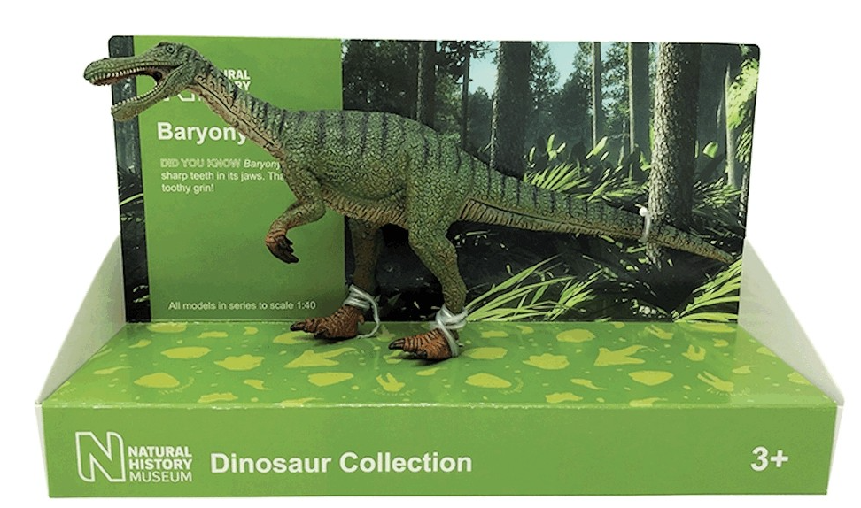BACTW29103 Baryonyx 1:40 scale model London Natural History Museum