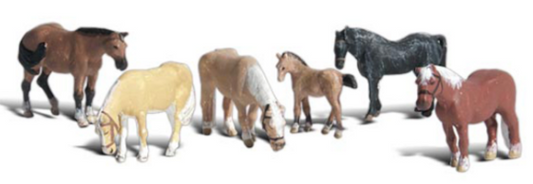 horses