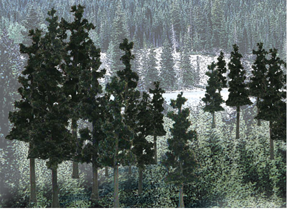 A set of model trees with a coniferous theme, likely used for model train setups.