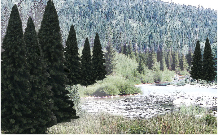 A set of model trees with a blend of evergreen foliage, intended for use in model train setups, displayed against a backdrop of a natural landscape with a body of water.