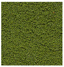 green grass and bushes