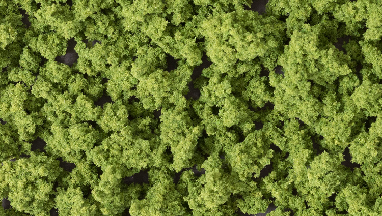 model bushes