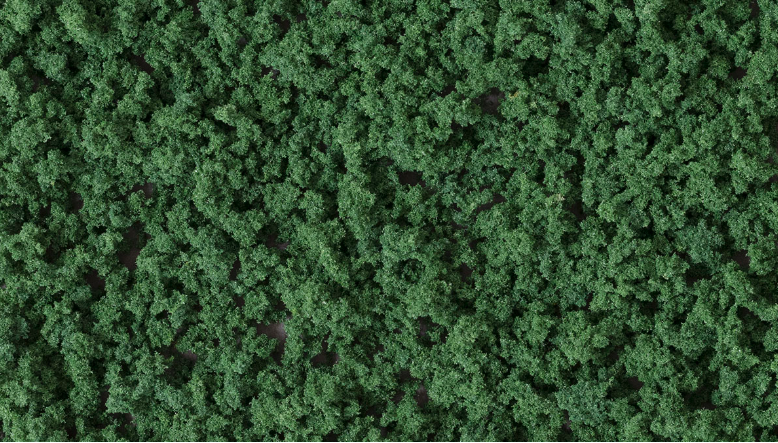 model tree foliage